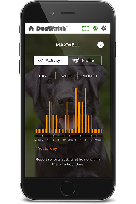 DogWatch by PetWorks, Mount Kisco, NY | SmartFence WebApp Image