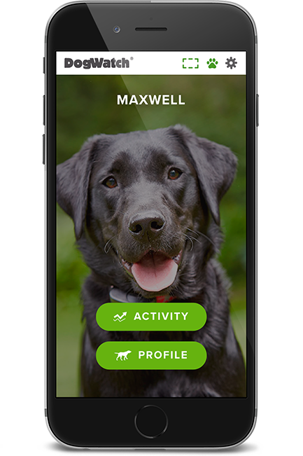 DogWatch by PetWorks, Mount Kisco, NY | SmartFence WebApp Image