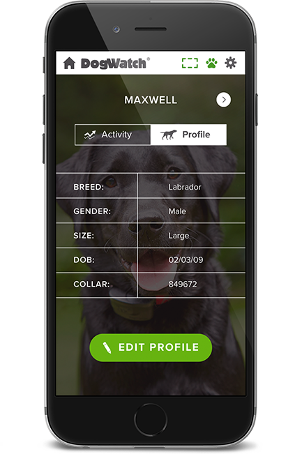 DogWatch by PetWorks, Mount Kisco, NY | SmartFence WebApp Image