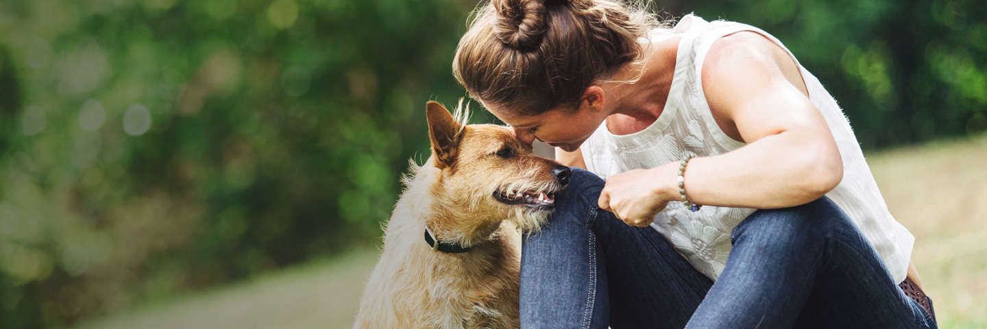 DogWatch by PetWorks, Mount Kisco, NY | BarkCollar No-Bark Trainer Slider Image