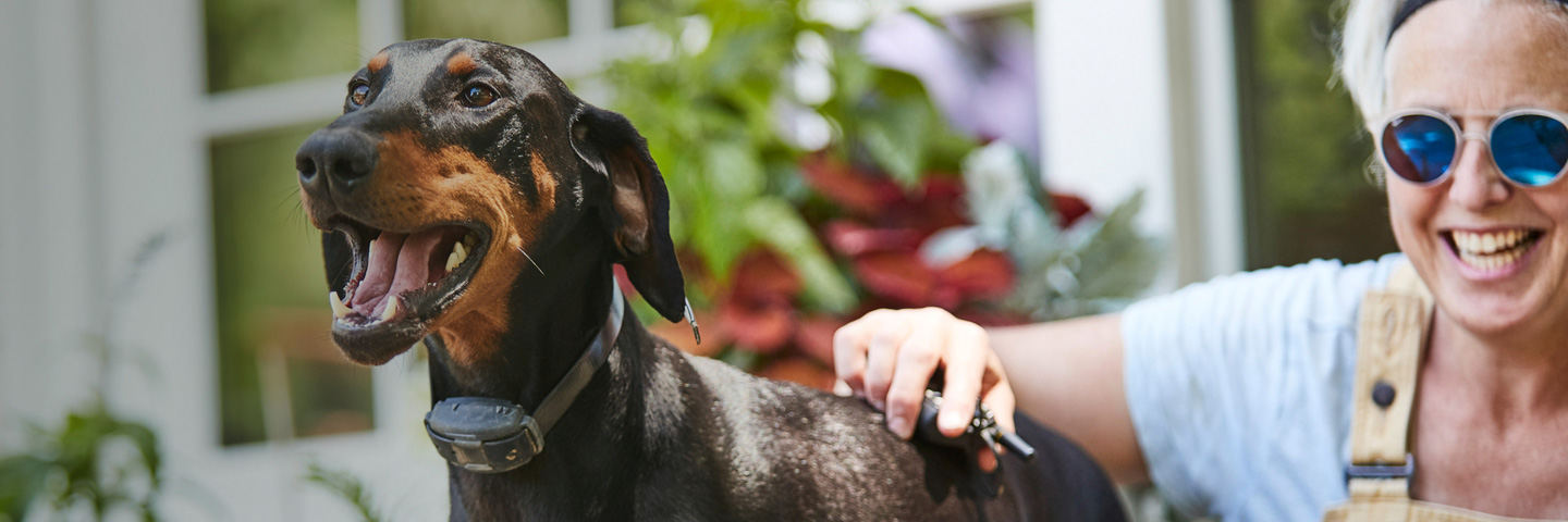 DogWatch by PetWorks, Mount Kisco, NY | Remote Dog Training Collars Slider Image
